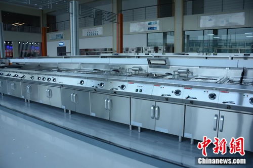 智慧引領(lǐng)未來 山東小城如何以創(chuàng)新廚具衛(wèi)具征服全球廚房